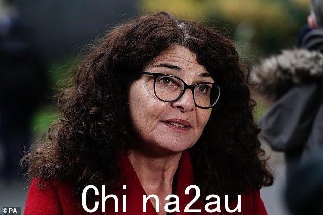 警务部长戴安娜·约翰逊夫人说:‘我们决心阻止这些无情的团伙引诱年轻人走上犯罪生活’