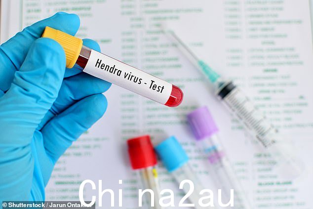 亨德拉病毒、狂犬病病毒和汉坦病毒样本于 2023 年 8 月在昆士兰公共卫生病毒学实验室失踪,至今仍未找到