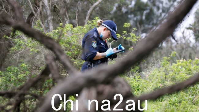 警方正在检查悉尼国际机场外的犯罪现场,发现一名妇女腐烂的尸体数米后从路上。图片:Damian Shaw
