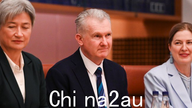 伯克先生最近拒绝了前以色列政治家阿耶莱特·沙克德的签证,理由是“国家利益”和“社会凝聚力”利益。图片:NewsWire / Martin Ollman