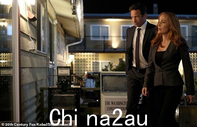 女演员吉莉安·安德森 (Gillian Anderson) 与大卫·杜楚尼 (David Duchovny) 一起在《X 档案》系列剧中一举成名,她透露了她的角色如何激励一代又一代女孩进入 STEM 领域