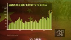 特朗普的贸易战将澳大利亚牛肉带到上海的舞台中心