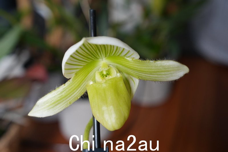 “”