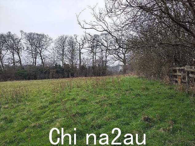 Mr Alliston emphasised the importance of the woodland to locals: 'The reason people live in places like this is because of their connection to nature'. Pictured: The site