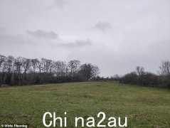 愤怒的计划是“环保”吉普赛人和旅行者网站的计划