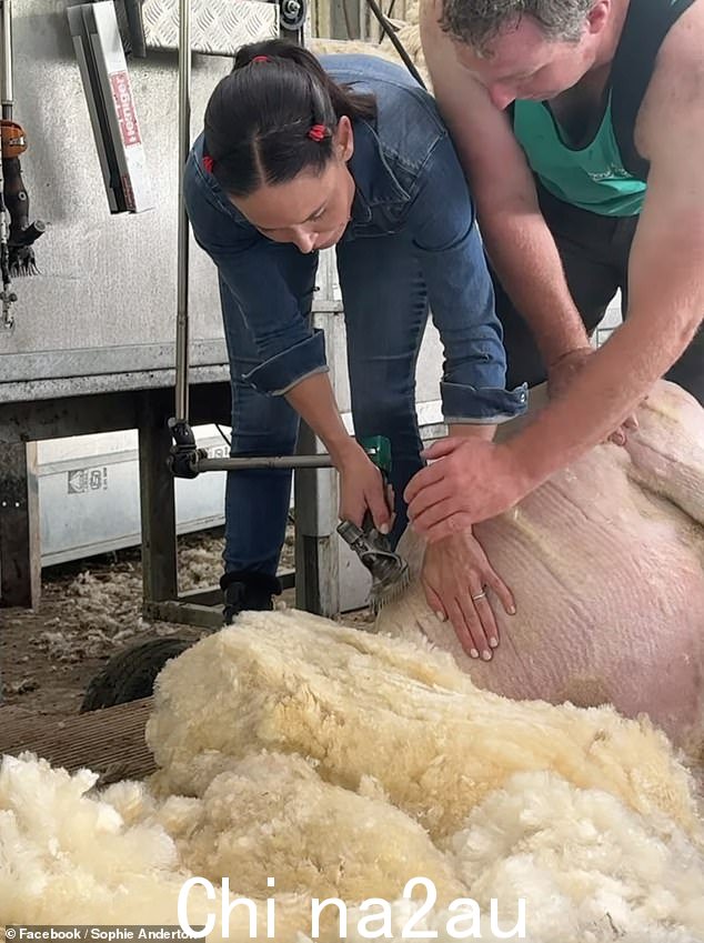 The former party queen, who would attend events with Kate Moss and Naomi Campbell, is more likely to be found shearing rare breed sheep today