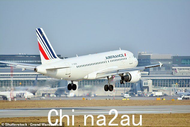 The migrant did not get on the scheduled AirFrance flight (Pictured: AirFrance plane in 2018)