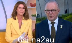 安东尼·阿尔巴尼斯（Anthony Albanese）在《日出》中接受纳特·巴尔（Nat Barr）和雪沃（Shirvo）的采访中拍摄：“绝对的胡说八道，认真”