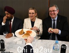 这是可以拯救联盟的“梦想团队”？由于苏珊·莱（Sussan Ley）将自由主义者带到了难以想象的低点 - 比达顿（Dutton）更糟糕！ - 未来的选项出现...