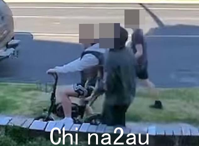 “镜头显示男孩们拿桶(如图)说,'这是我的猫现在''''''''''class